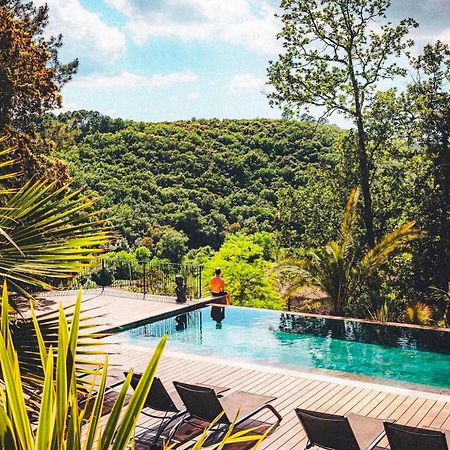 "Les Hauts Du Marquet" - Meuble De Tourisme 5 Etoiles - Gite De Groupe 15 Personnes En Cevennes - Piscine A Debordement - Balneo - Sauna - Nature Saint Jean du Pin Zewnętrze zdjęcie