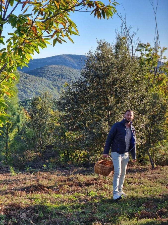 "Les Hauts Du Marquet" - Meuble De Tourisme 5 Etoiles - Gite De Groupe 15 Personnes En Cevennes - Piscine A Debordement - Balneo - Sauna - Nature Saint Jean du Pin Zewnętrze zdjęcie